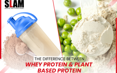 Difference Between Whey and Plant Based Protein Powder