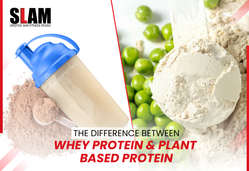 Difference Between Whey and Plant Based Protein Powder