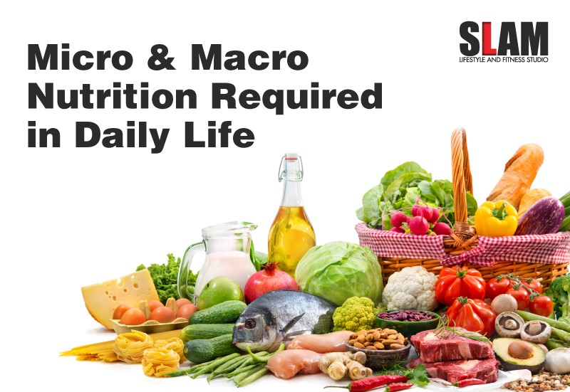 Micro and Macro Nutrition Required in Daily Life
