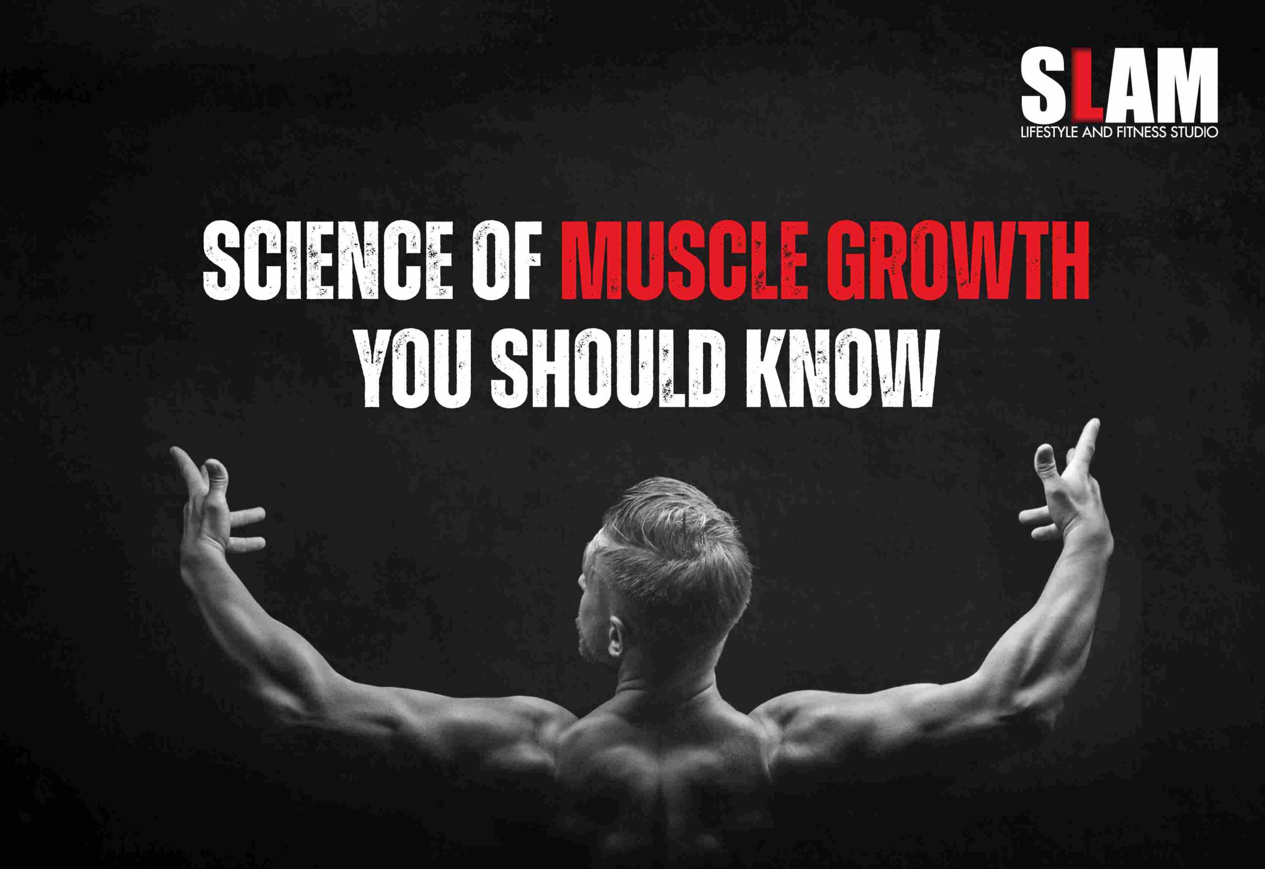 Science of Muscle Growth You Should Know